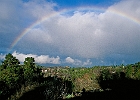 Regenbogen über Lomo Loro oberhalb von Las Tricias : Kiefern, Wolken, Häuser